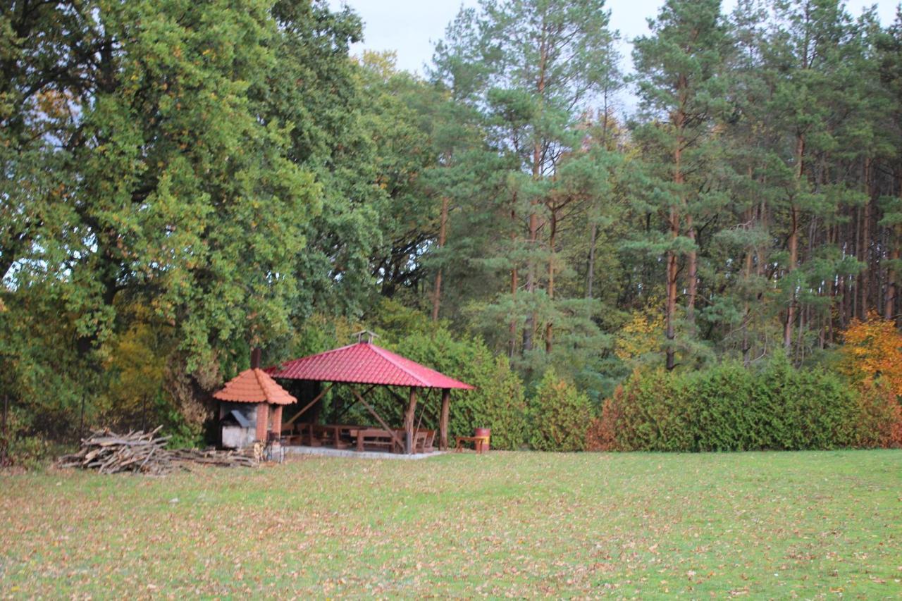 Gospodarstwo Agroturystyczne Agroletnica Swidnica  ภายนอก รูปภาพ
