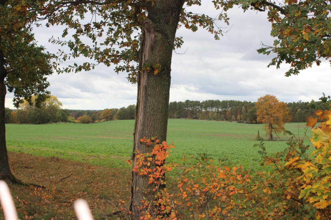 Gospodarstwo Agroturystyczne Agroletnica Swidnica  ภายนอก รูปภาพ