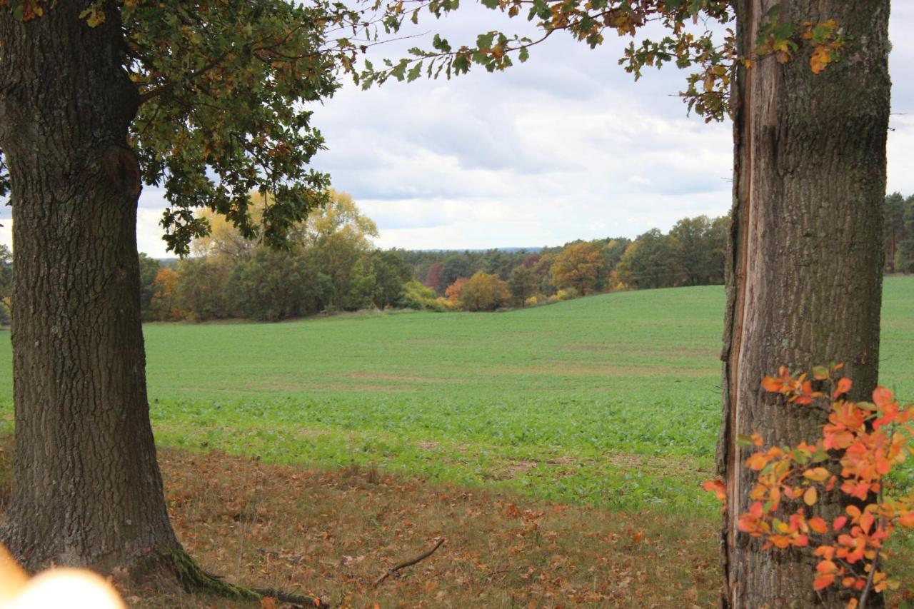 Gospodarstwo Agroturystyczne Agroletnica Swidnica  ภายนอก รูปภาพ
