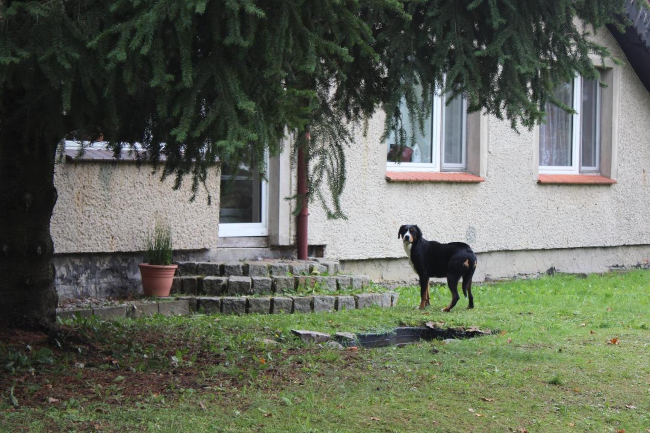 Gospodarstwo Agroturystyczne Agroletnica Swidnica  ภายนอก รูปภาพ