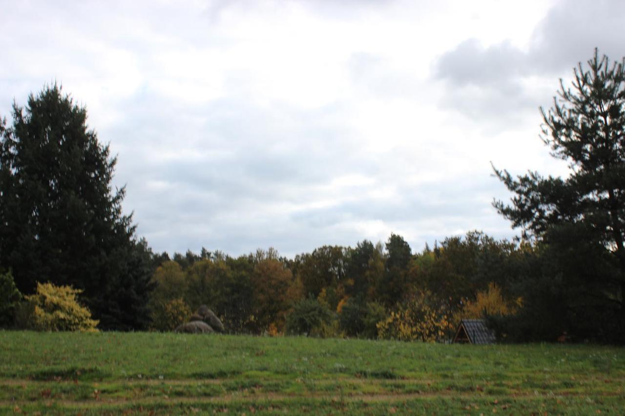 Gospodarstwo Agroturystyczne Agroletnica Swidnica  ภายนอก รูปภาพ